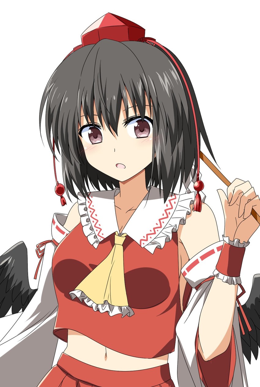 hakurei reimu and shameimaru aya (touhou) drawn by rise_(rise19851203)
