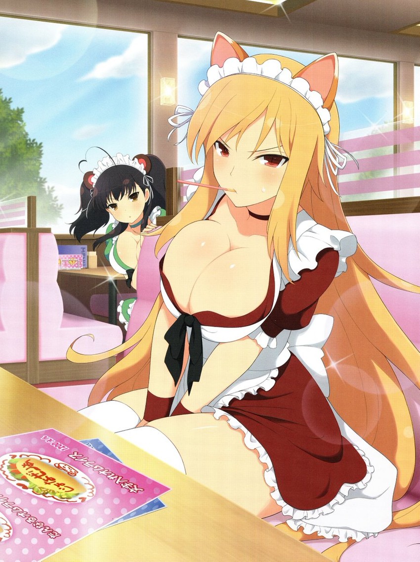 misato and kumi (senran kagura and 1 more) drawn by yaegashi_nan