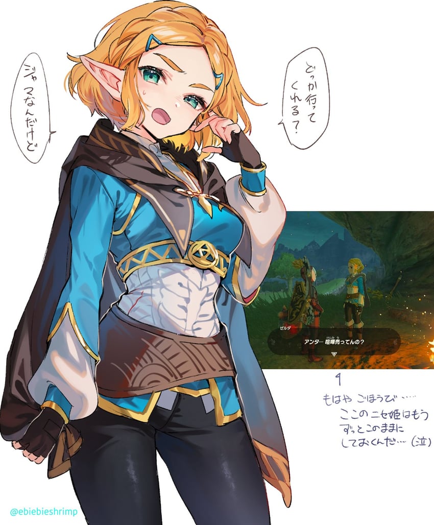 link and princess zelda (the legend of zelda and 1 more) drawn by shuri_(84k)