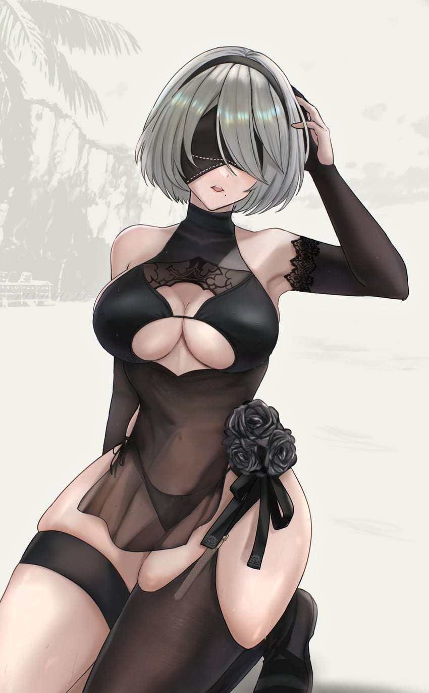 2b (nier and 1 more) drawn by sunameri_(pixiv3564245)