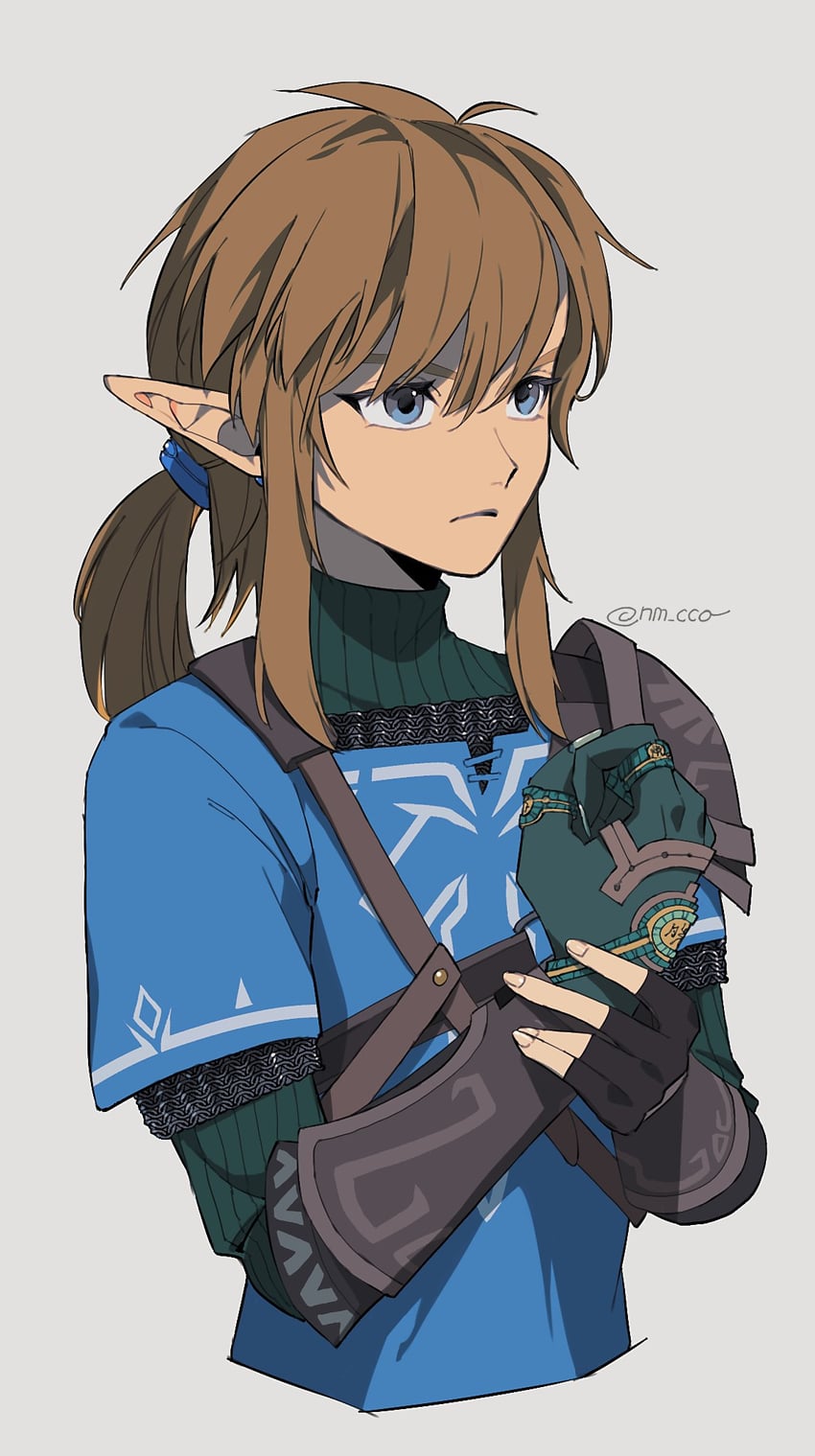 link (the legend of zelda and 1 more) drawn by ao_haruki