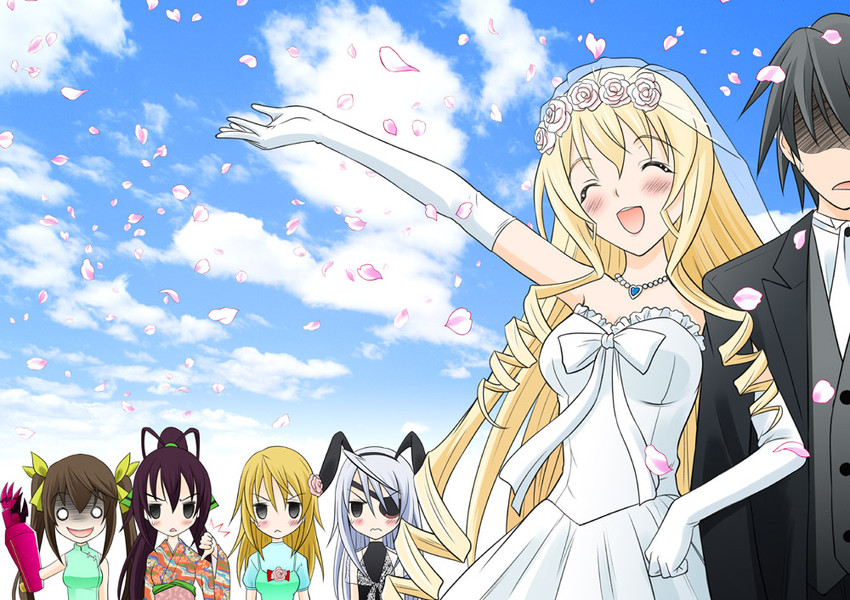 charlotte dunois, cecilia alcott, laura bodewig, shinonono houki, huang lingyin, and 1 more (infinite stratos) drawn by takeshita_kenjirou