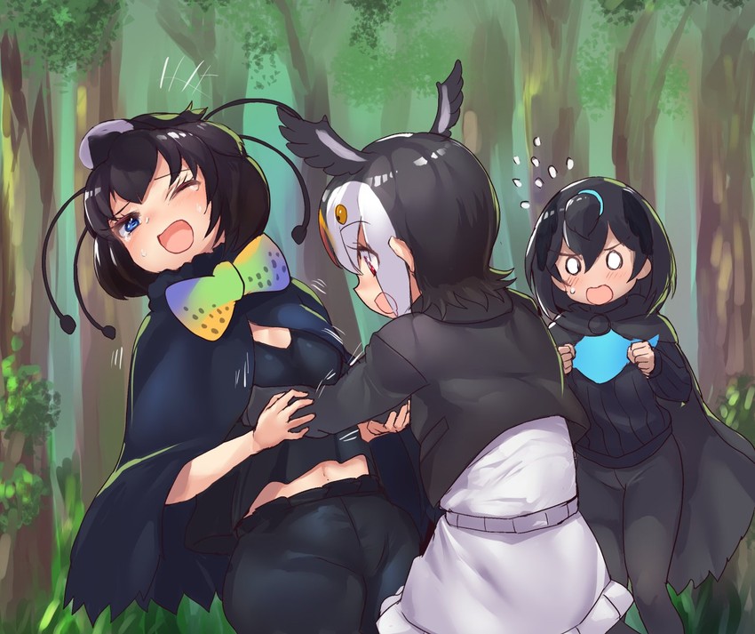 superb bird-of-paradise, atlantic puffin, and western parotia (kemono friends) drawn by tadano_magu
