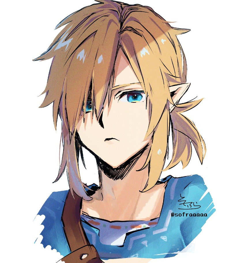 link (the legend of zelda and 1 more) drawn by sofra