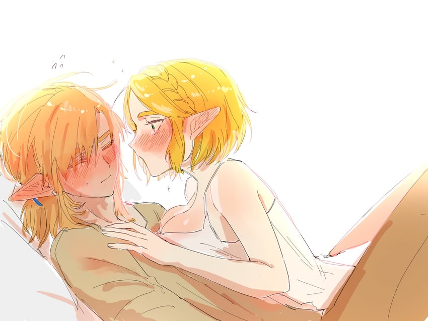 link and princess zelda (the legend of zelda and 1 more) drawn by big_egg526