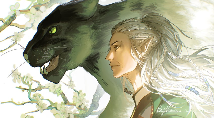 jaheira (dungeons & dragons and 2 more) drawn by merianaka