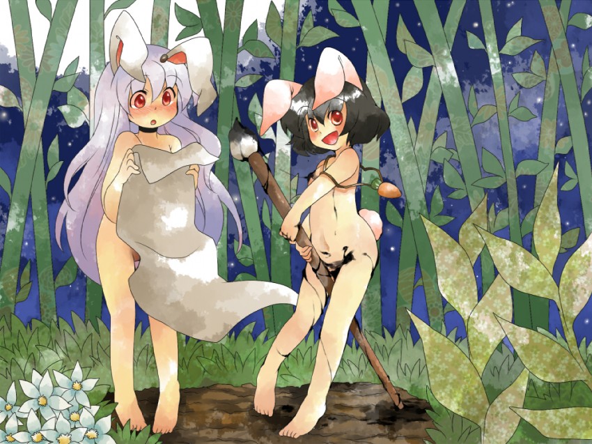 reisen udongein inaba and inaba tewi (touhou) drawn by hammer_(sunset_beach)