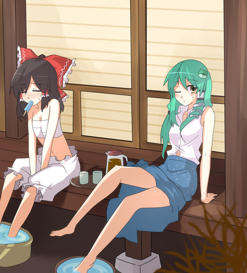 hakurei reimu and kochiya sanae (touhou) drawn by akatoro_(nightlord)