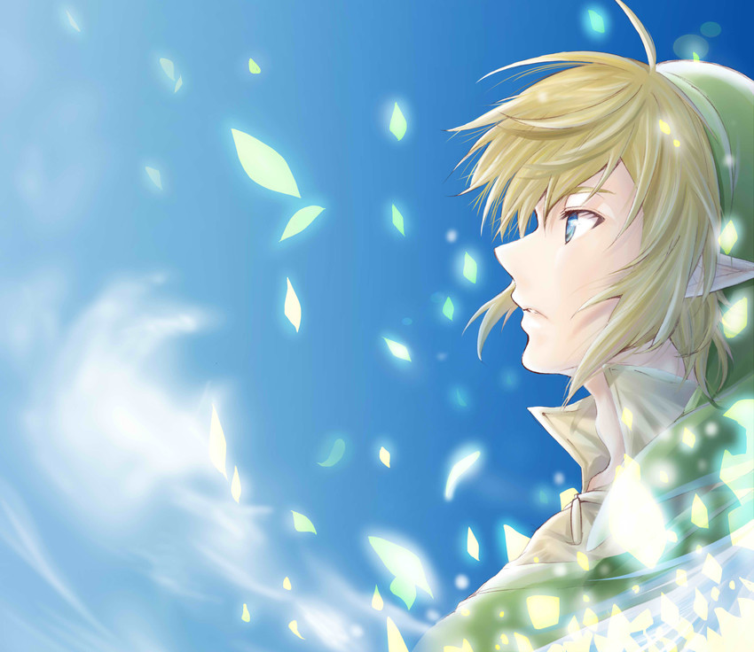 link (the legend of zelda and 1 more) drawn by amatukabeni