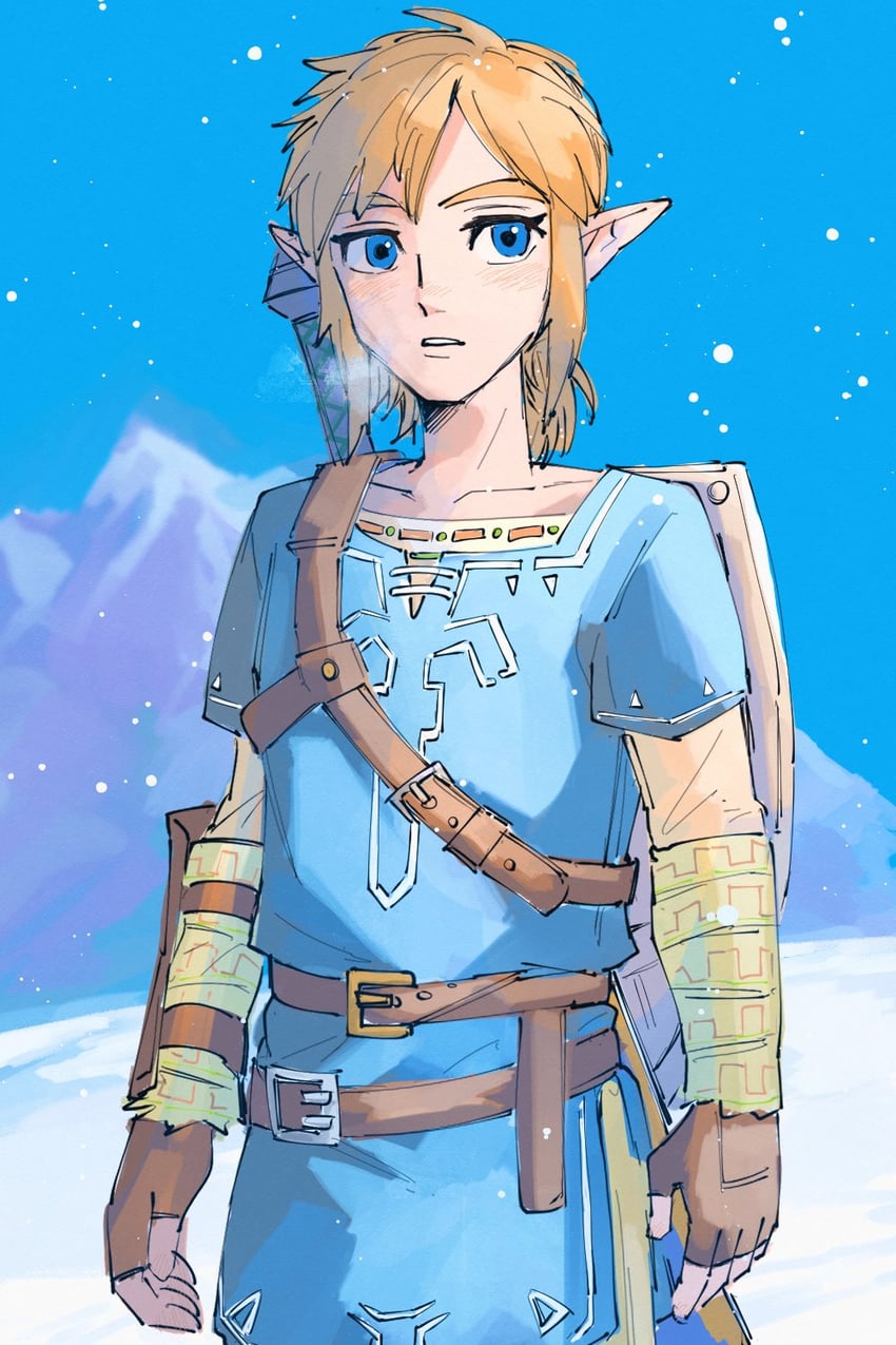 link (the legend of zelda and 1 more) drawn by yamori_(yamoooon21)