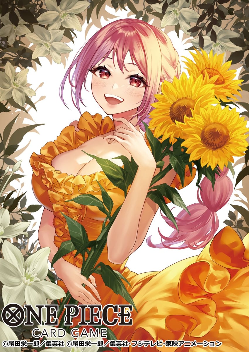 rebecca (one piece and 1 more) drawn by koushi_rokushiro