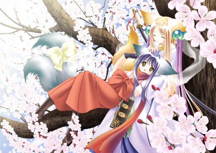 koma and soro (tail tale) drawn by louis&visee