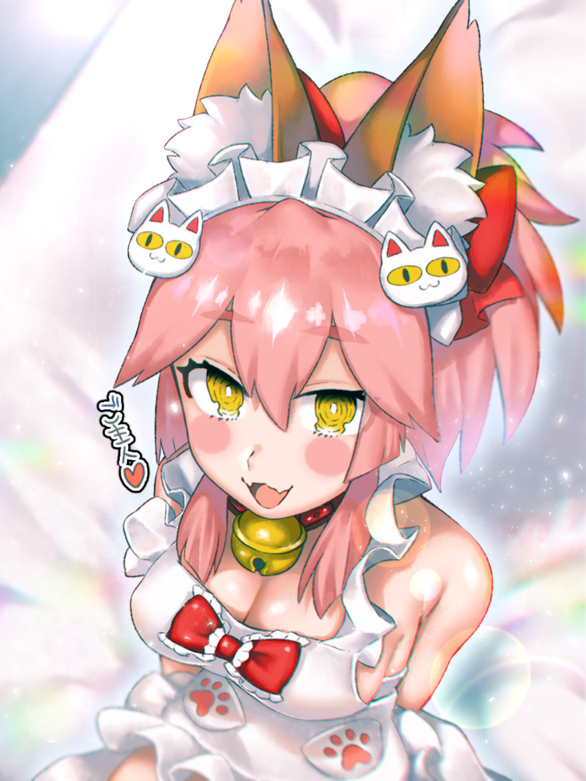tamamo and tamamo cat (fate and 1 more) drawn by raichi-ringo