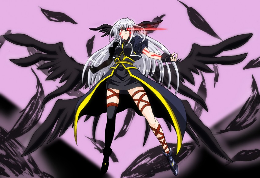 reinforce (lyrical nanoha and 2 more) drawn by kirin_the_himemiya