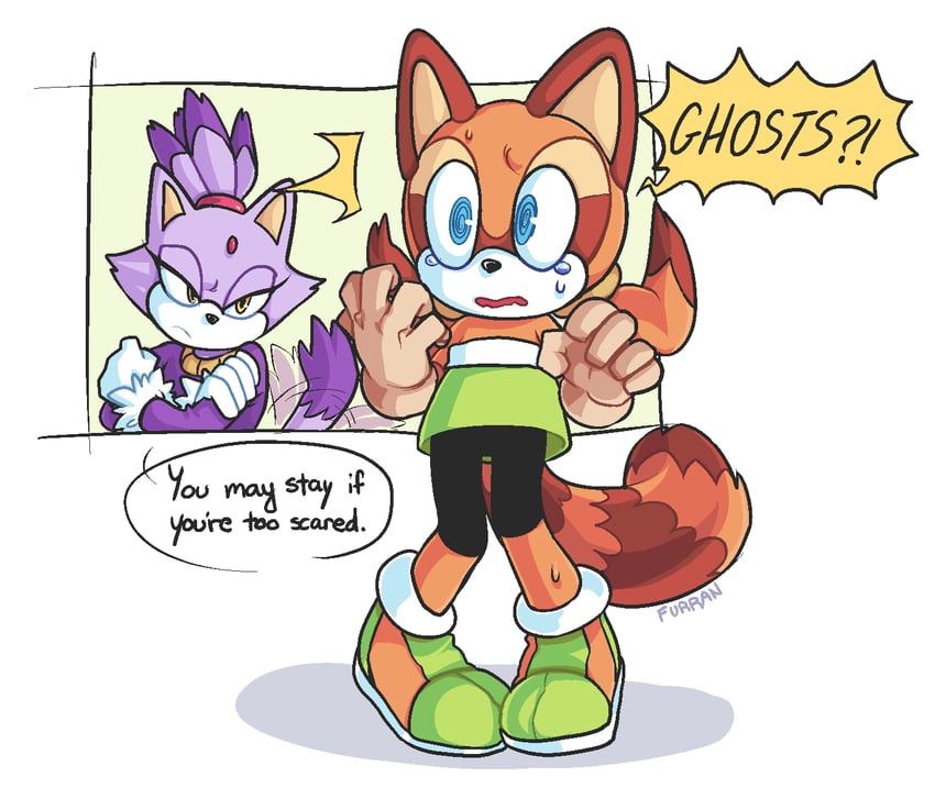 blaze the cat and marine the raccoon (sonic and 1 more) drawn by sandopoliszone
