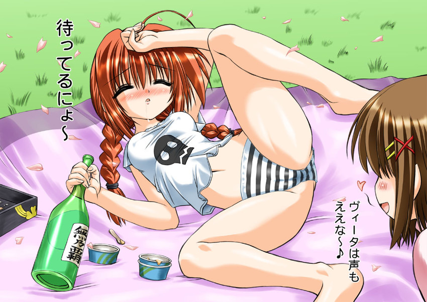 yagami hayate and vita (lyrical nanoha and 2 more) drawn by marui