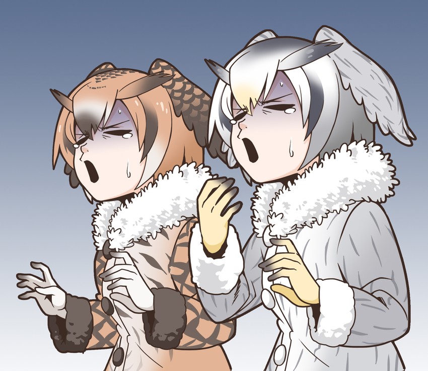 northern white-faced owl and eurasian eagle owl (kemono friends) drawn by suzushiro_(suzushiro333)