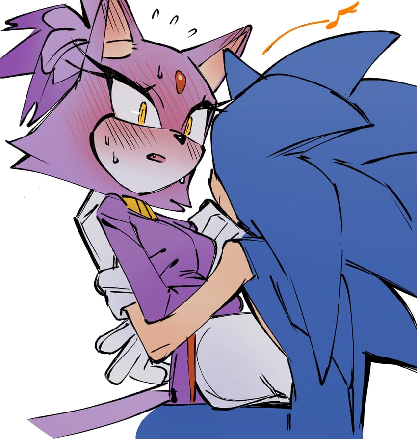 sonic the hedgehog and blaze the cat (sonic) drawn by guin_(imarealpenguin)