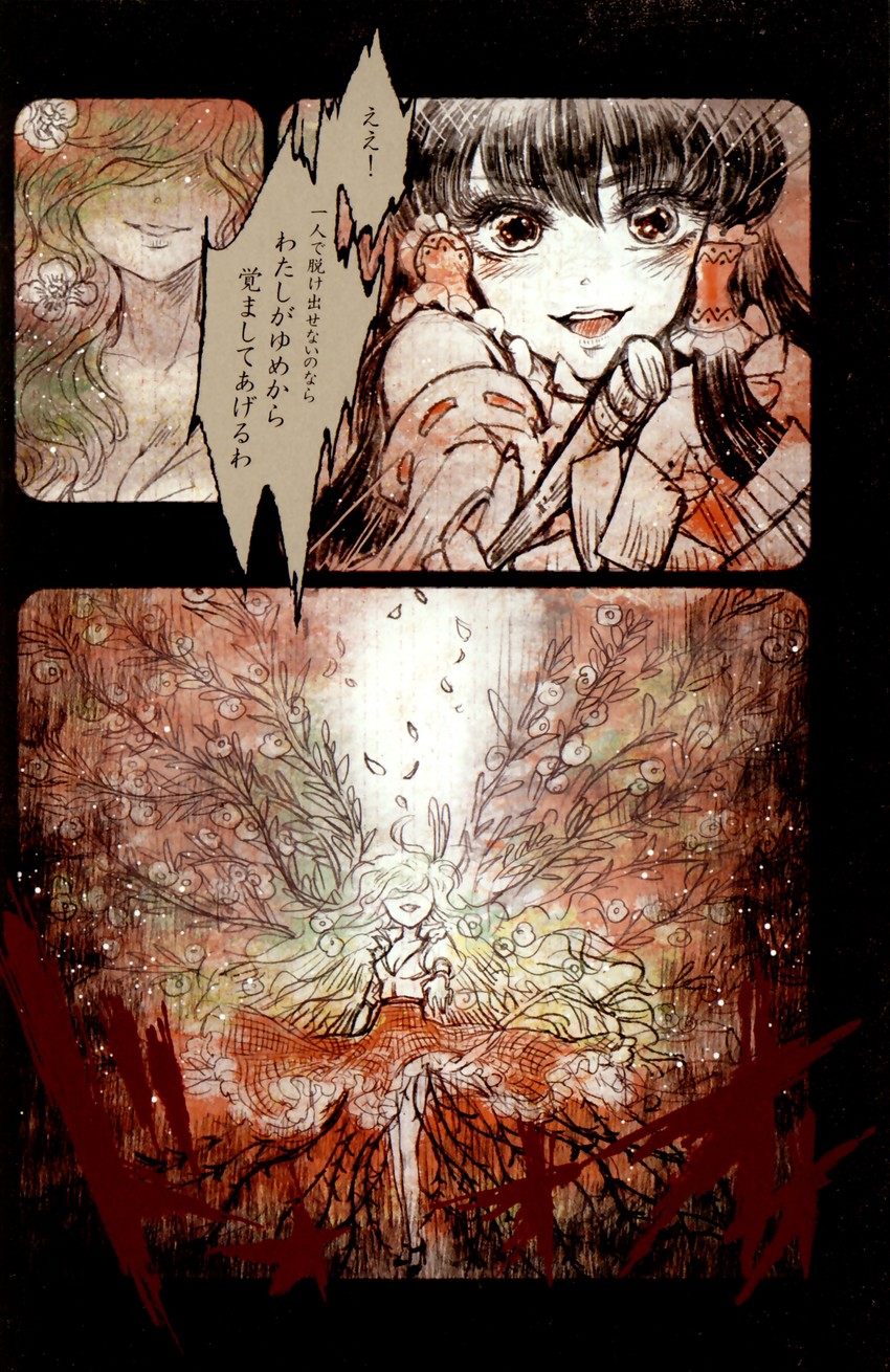 hakurei reimu and kazami yuuka (touhou) drawn by takatora