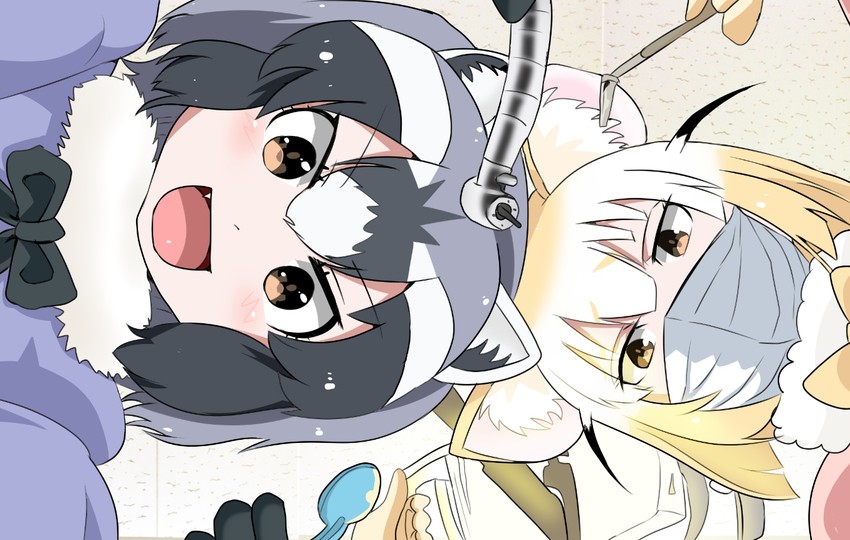 common raccoon and fennec (kemono friends) drawn by sayamagi_kei