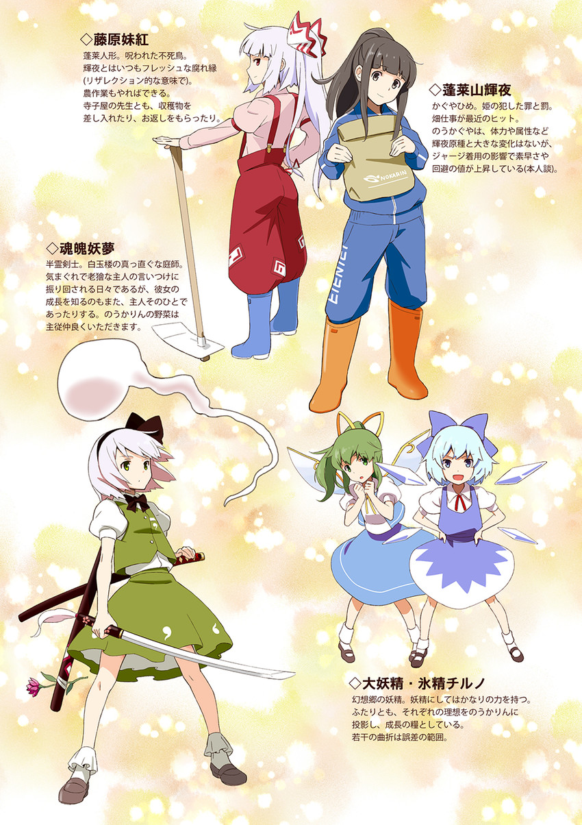 konpaku youmu, cirno, fujiwara no mokou, houraisan kaguya, and daiyousei (touhou) drawn by hasegawa_keita