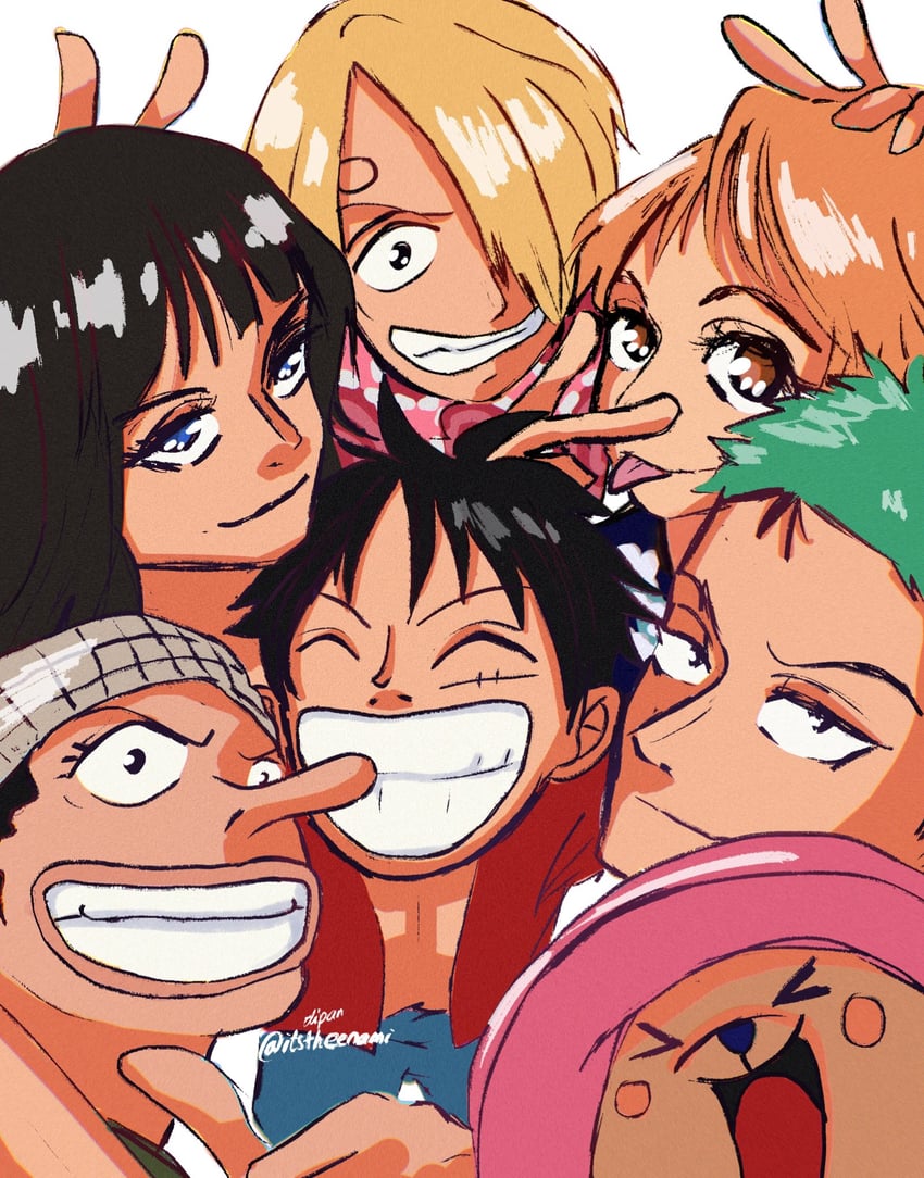 nami, monkey d. luffy, nico robin, roronoa zoro, sanji, and 2 more (one piece) drawn by itstheenami