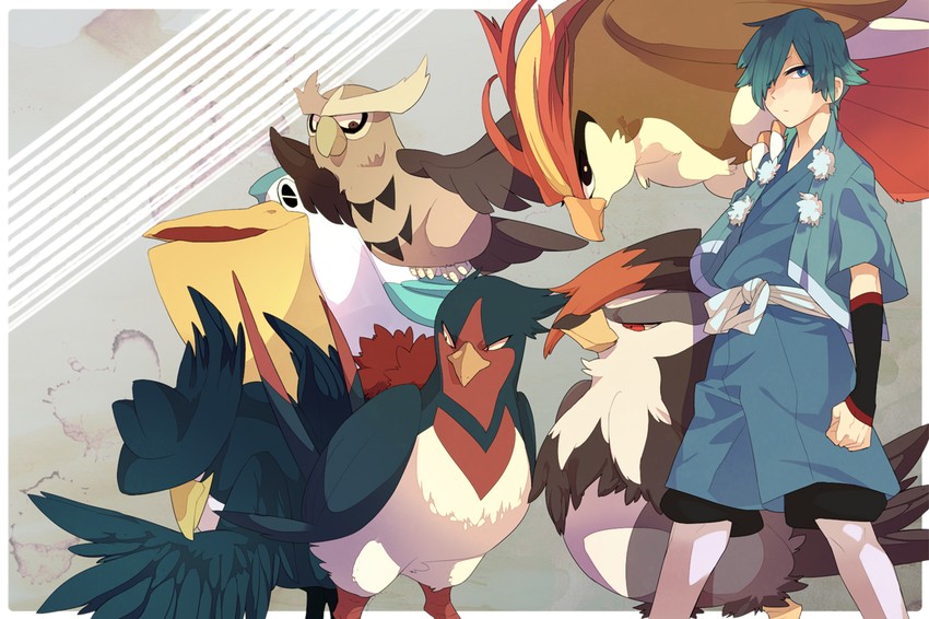 pidgeot, falkner, staraptor, pelipper, honchkrow, and 2 more (pokemon and 1 more) drawn by menoco