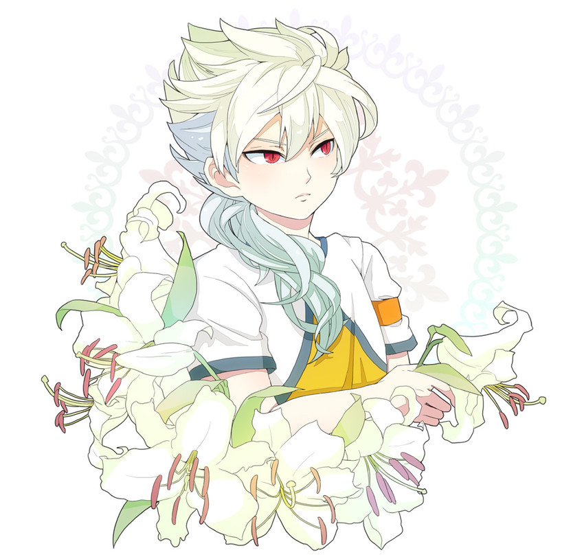 hakuryuu (inazuma eleven and 1 more) drawn by rursus24