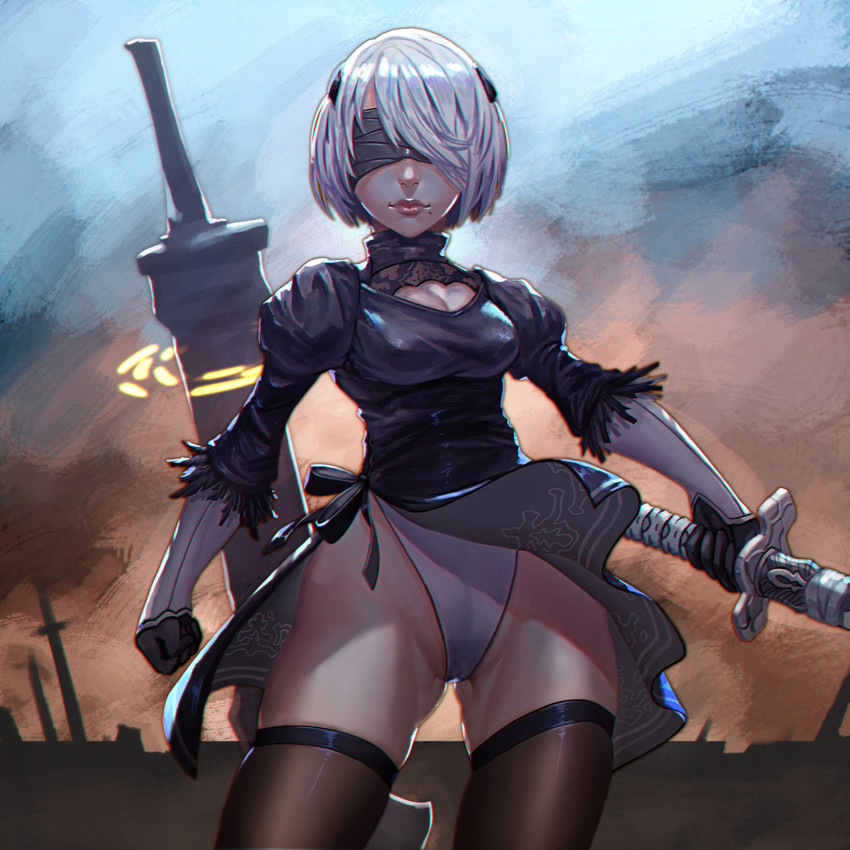 2b (nier and 1 more) drawn by xue_qi_ye_(dndtmbdue)