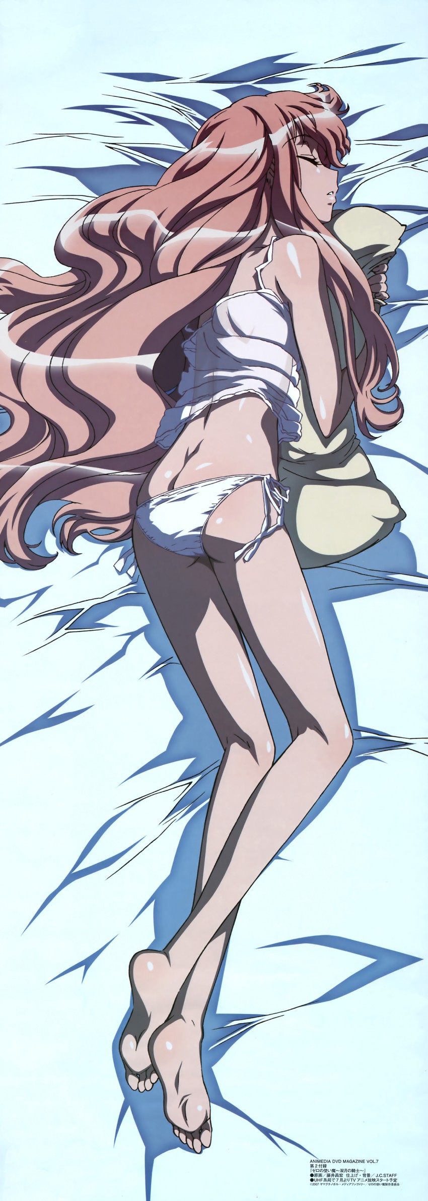 louise francoise le blanc de la valliere (zero no tsukaima) drawn by fujii_masahiro