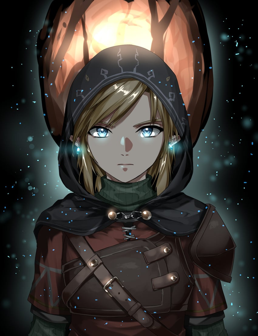 link (the legend of zelda and 1 more) drawn by wasabi_(legemd)