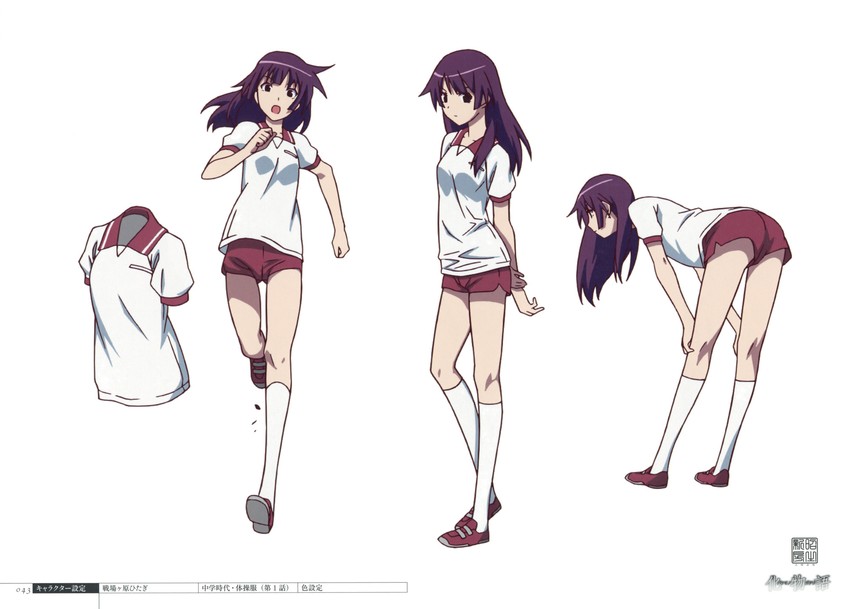 senjougahara hitagi (monogatari and 1 more)