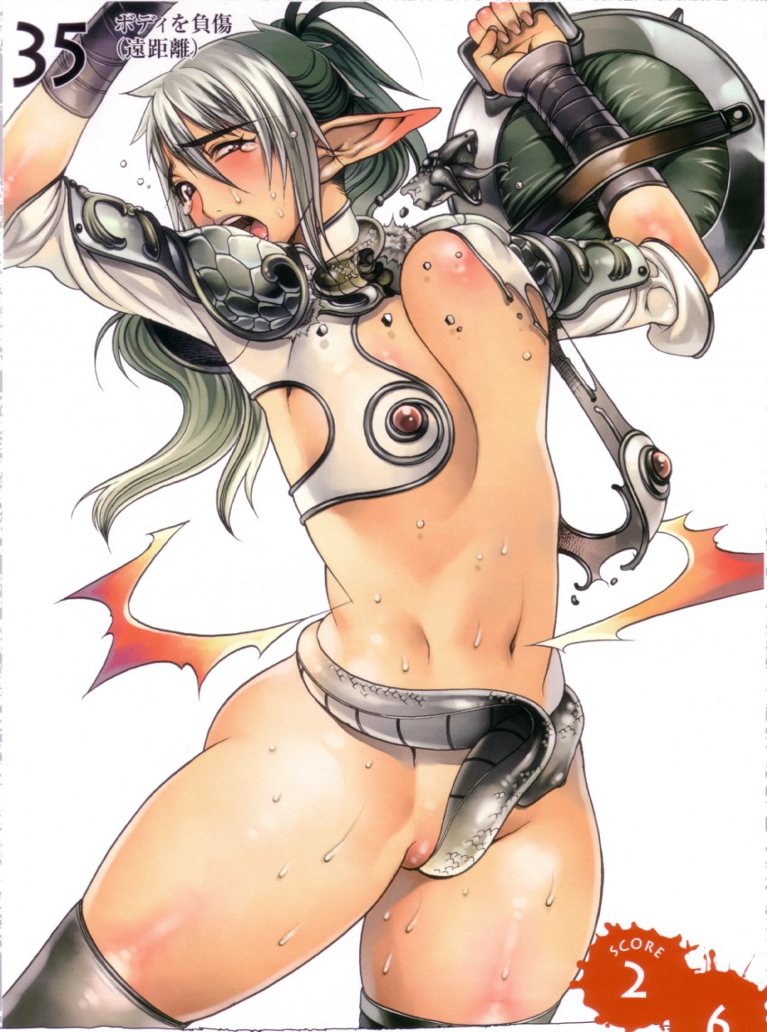 echidna and veteran mercenary echidna (queen's blade) drawn by f.s.