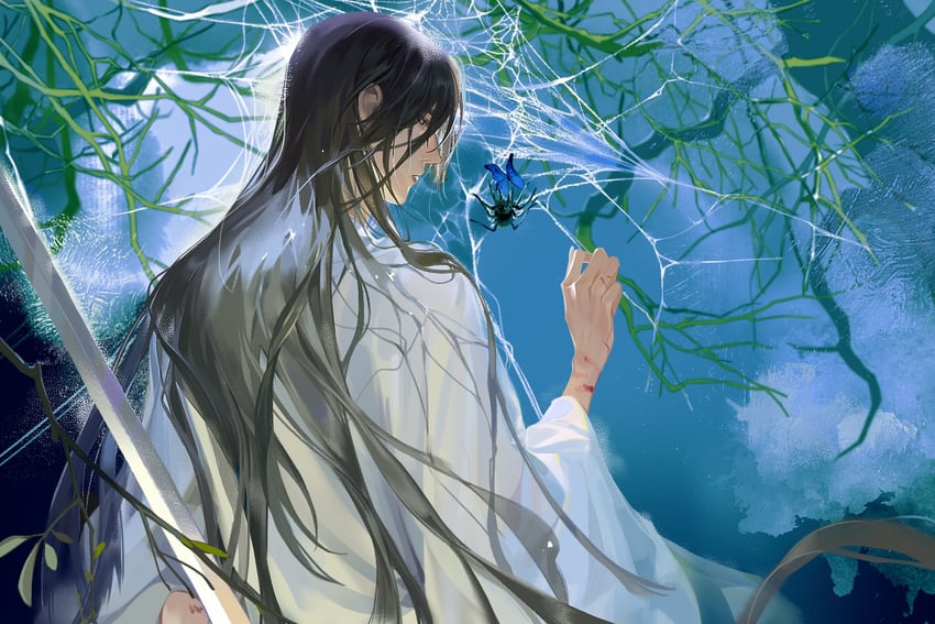 chu wanning (erha he ta de bai mao shizun) drawn by nourfeiar