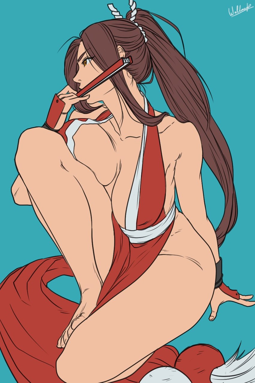 shiranui mai (the king of fighters and 1 more) drawn by wallace_pires