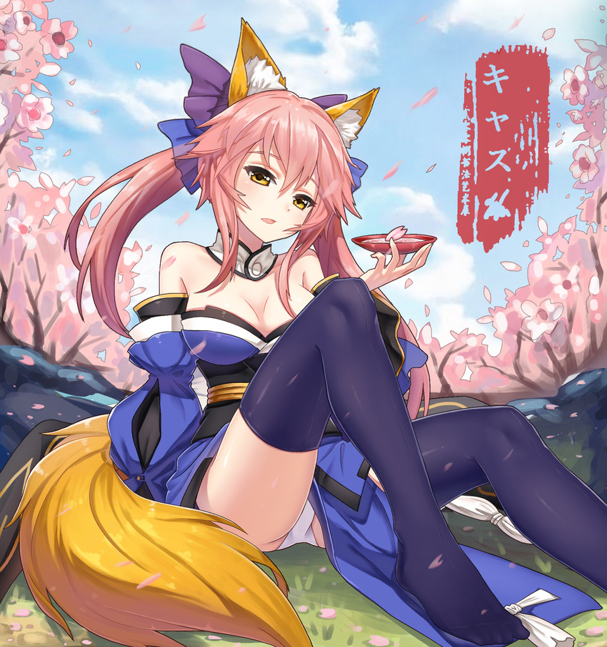 tamamo and tamamo no mae (fate and 1 more) drawn by chunrijun_(springer)