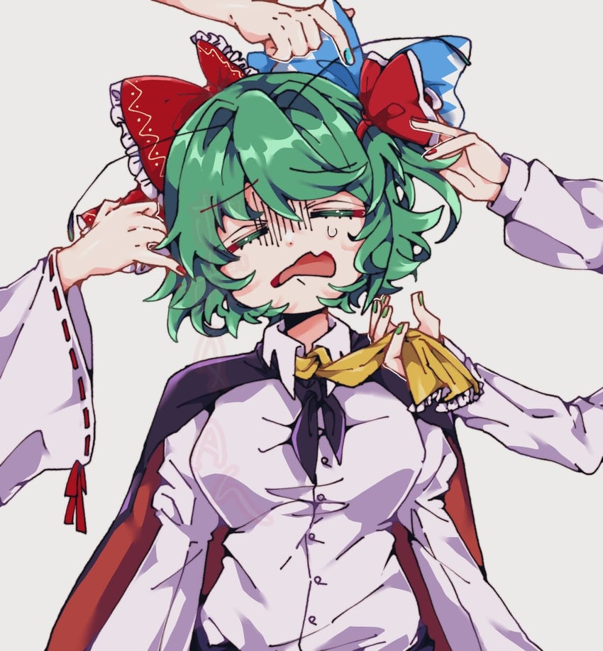 hakurei reimu, cirno, rumia, kazami yuuka, and wriggle nightbug (touhou) drawn by bobotatamu