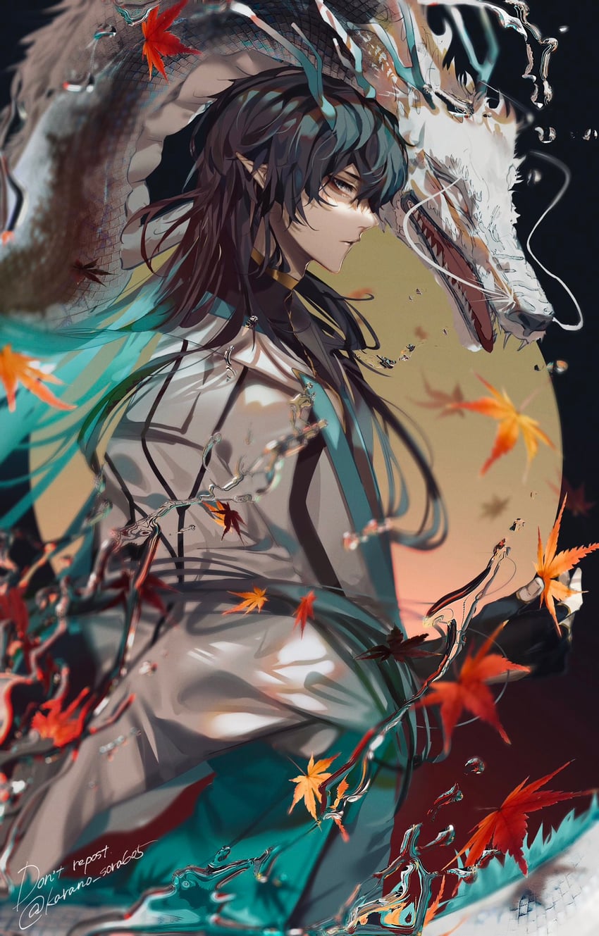 dan heng (honkai and 1 more) drawn by karanosora