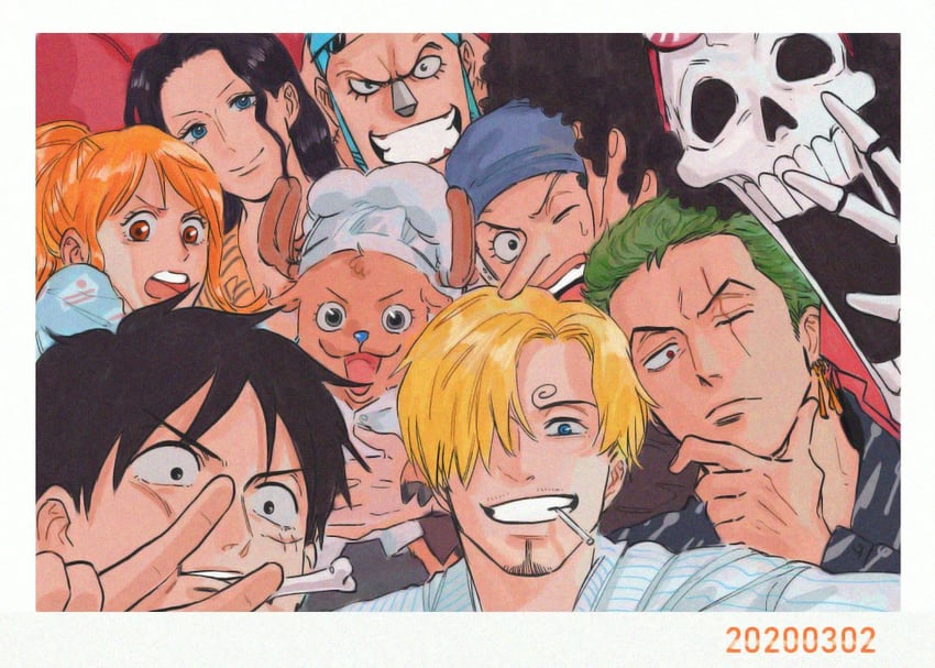 nami, monkey d. luffy, nico robin, roronoa zoro, sanji, and 4 more (one piece) drawn by errrrrliao_ge_ai