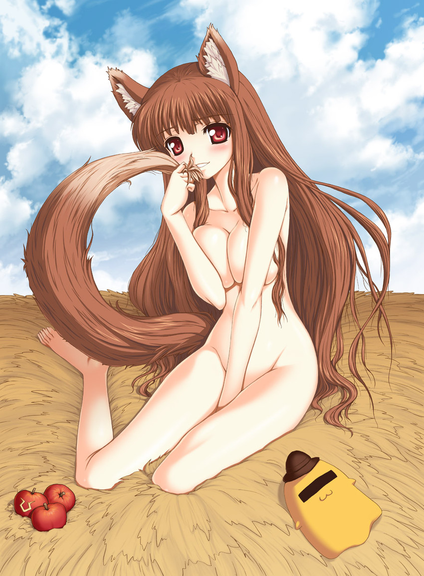 holo and cheese-kun (code geass and 2 more) drawn by aokihoshi