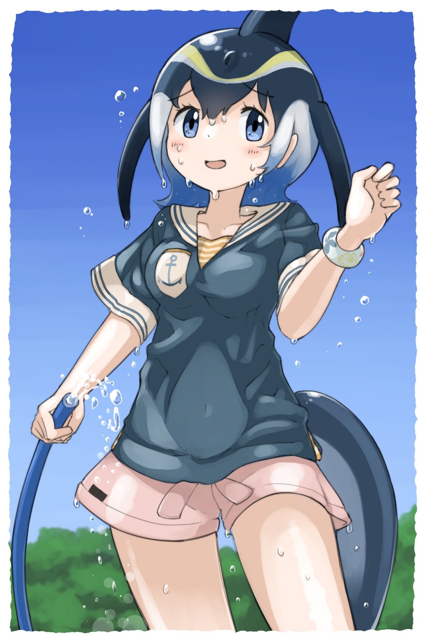 common dolphin (kemono friends and 1 more) drawn by iwa_(iwafish)