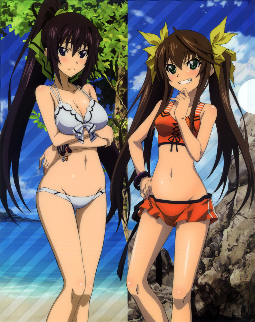 shinonono houki and huang lingyin (infinite stratos) drawn by hashimoto_takayoshi