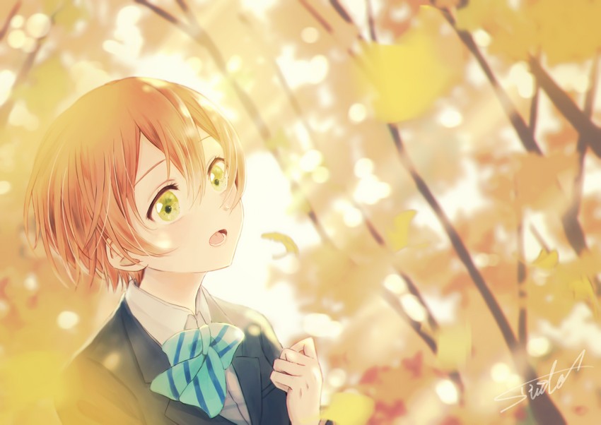 hoshizora rin (love live! and 1 more) drawn by suito