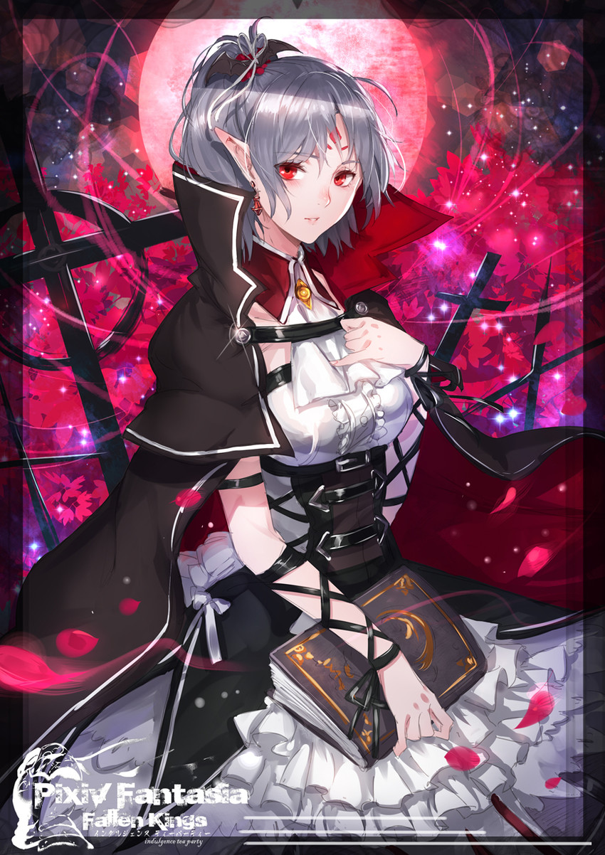 militarberater (pixiv fantasia and 1 more) drawn by ryuuzaki_ichi