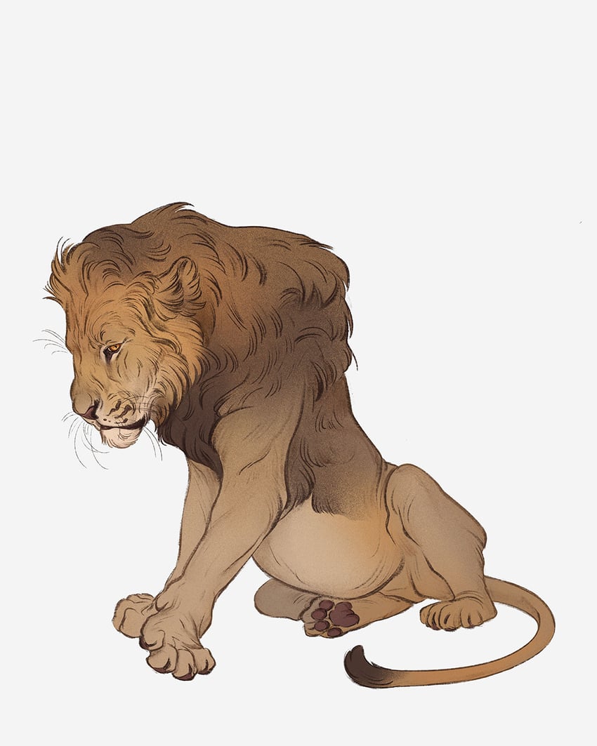original drawn by norapotwora