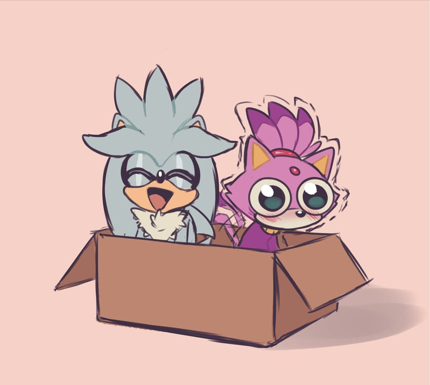 blaze the cat and silver the hedgehog (sonic) drawn by karl0