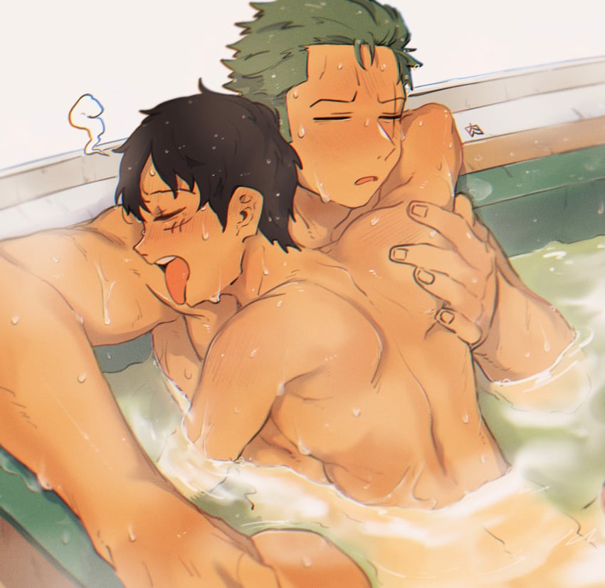 monkey d. luffy and roronoa zoro (one piece) drawn by akr29