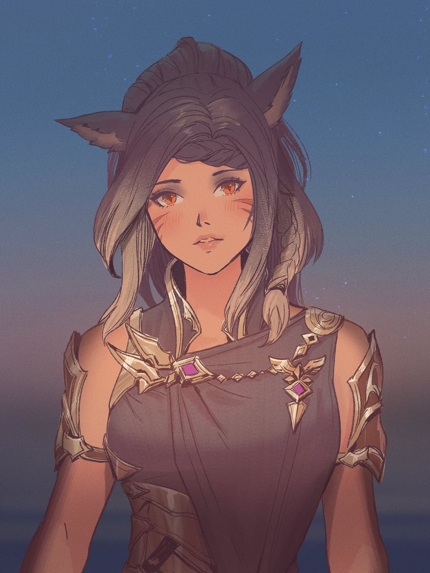 warrior of light (final fantasy and 1 more) drawn by chaosringen