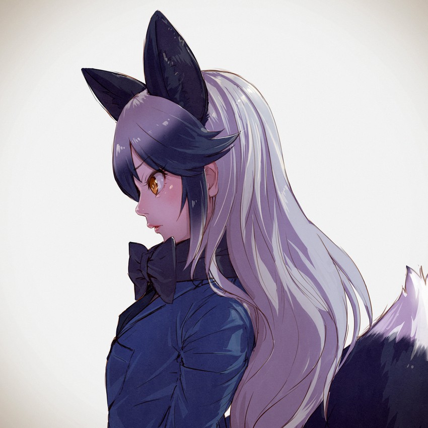 silver fox (kemono friends) drawn by takami_masahiro