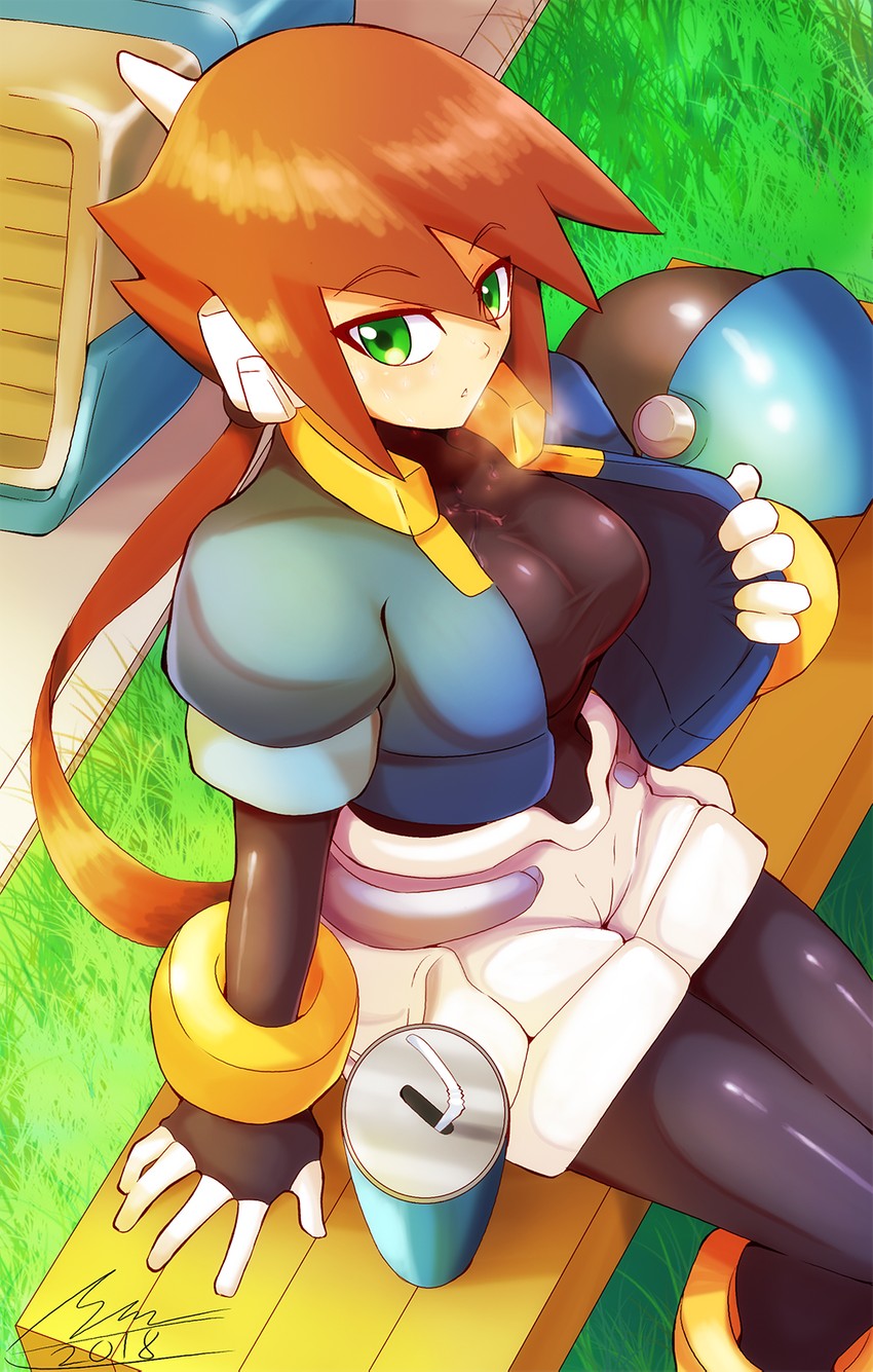 aile (mega man and 2 more) drawn by shoutaro_saito